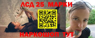 прущие грибы Кингисепп
