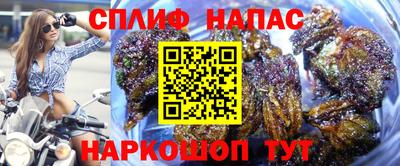 прущие грибы Кингисепп